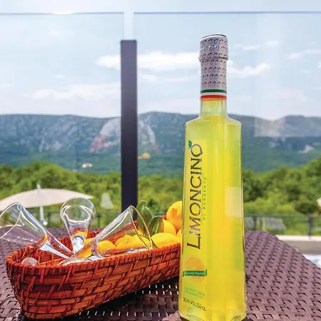 Holiday home Beautiful In Kostelj Grizane-Belgrad